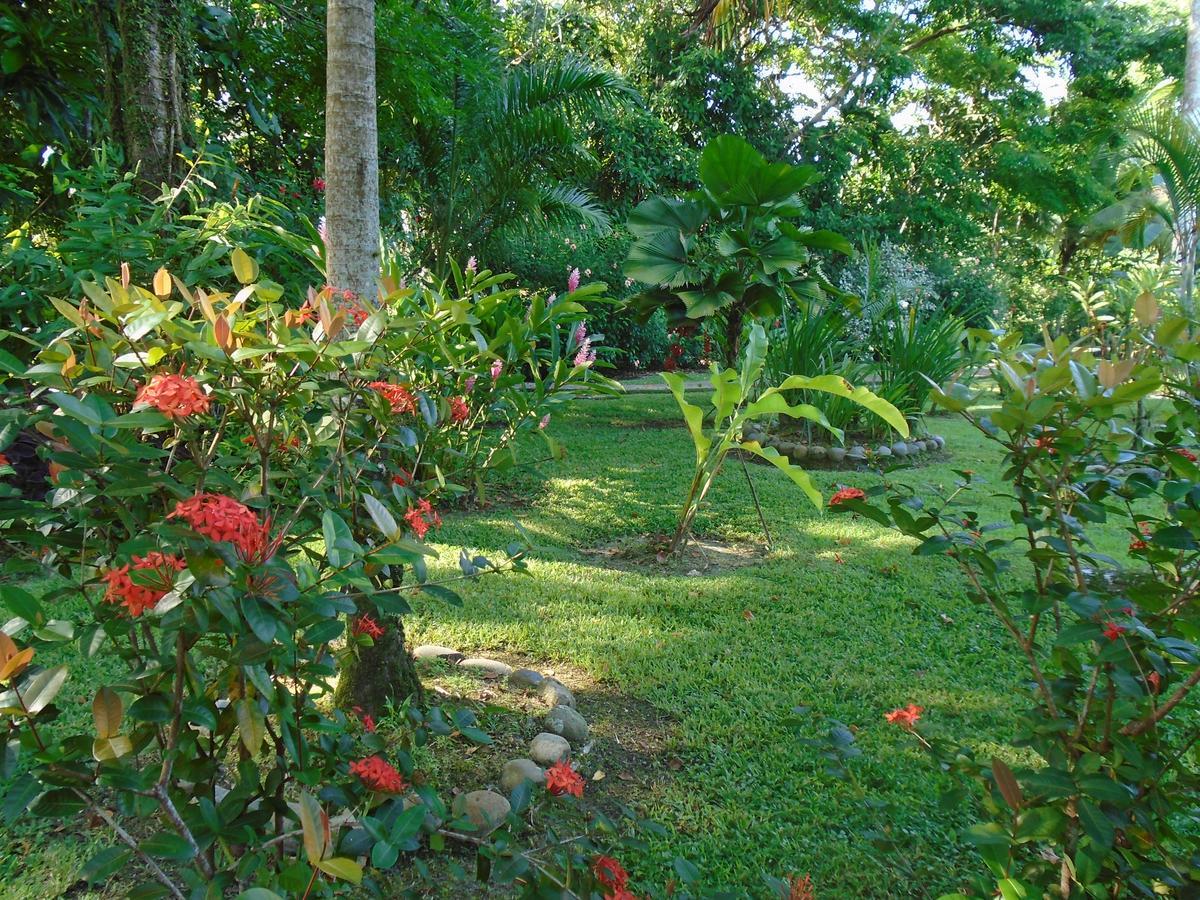 J And H Garden Cabinas Bocas del Toro Extérieur photo